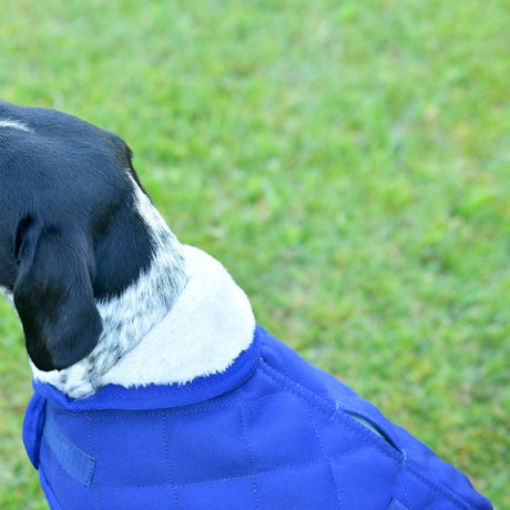 Weatherbeeta Comfitec Deluxe Diamond Quilt Dog Coat #colour_navy