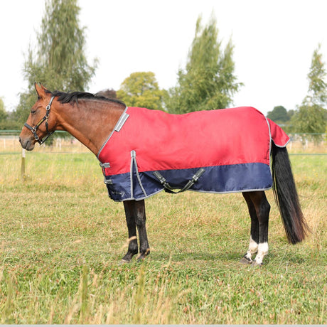 StormX Empra 200g Turnout Rug with Detachable Neck #colour_burgundy