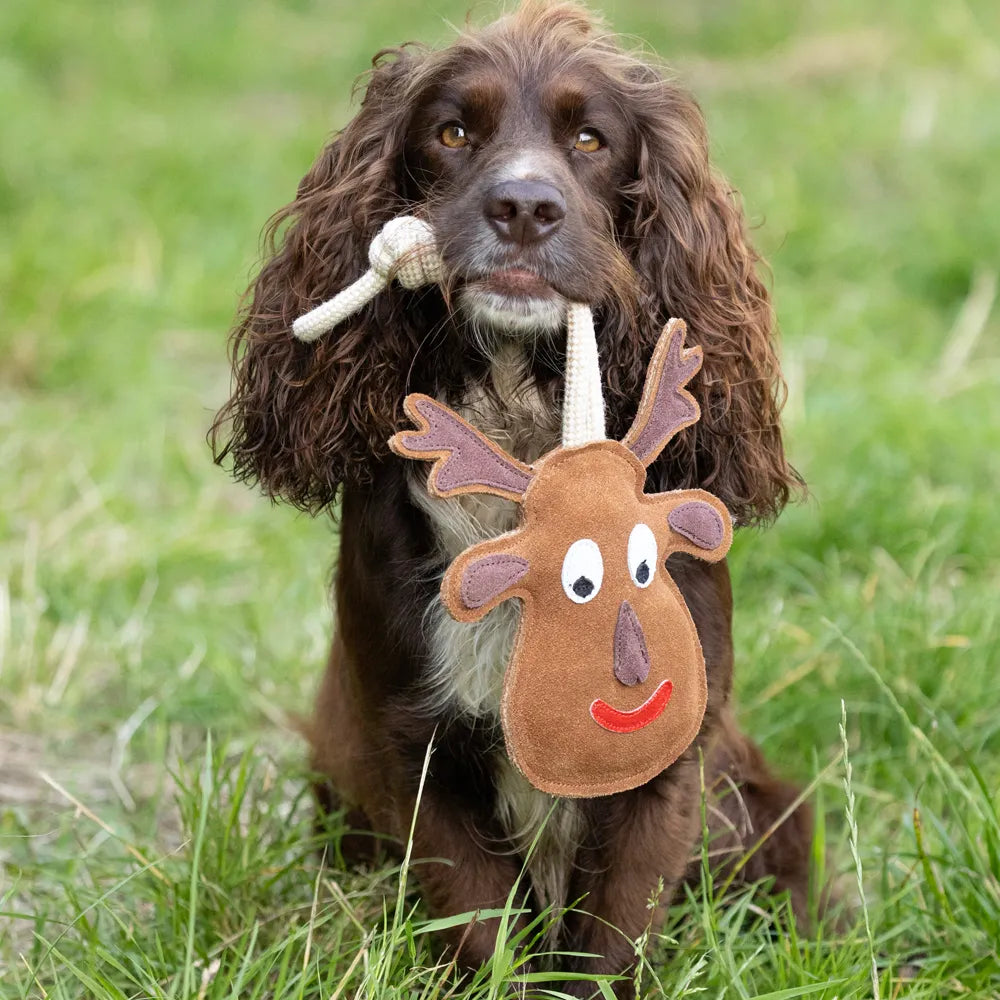 Benji & Flo Christmas Dog Toy #style_reindeer