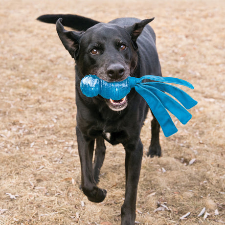 KONG Wubba Comet #size_s