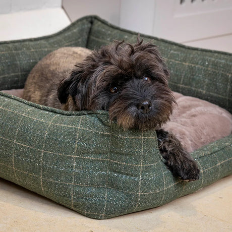 House of Paws Moss Tweed Rectangle Bed #colour_green