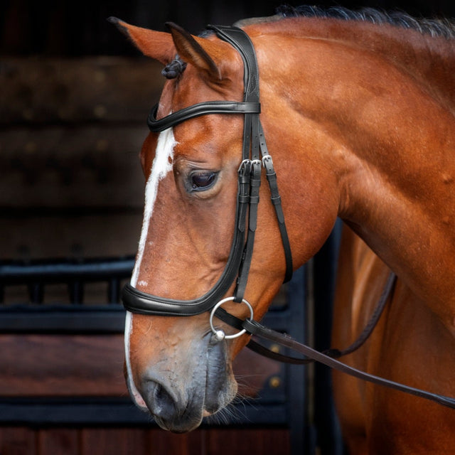 Shires Velociti RAPIDA Ergonomic Curved Cavesson Bridle #colour_black