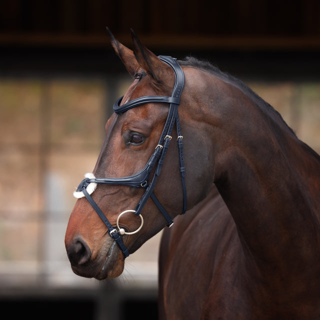 Shires Velociti Lusso Elite Grackle Bridle #colour_black