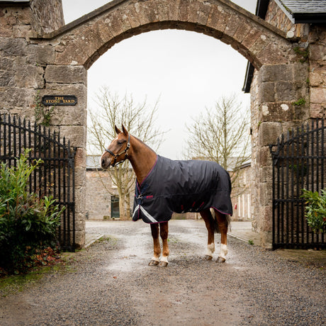 Horseware Ireland Amigo Bravo 12 XL 0g Lite Turnout Rug #colour_navy-red