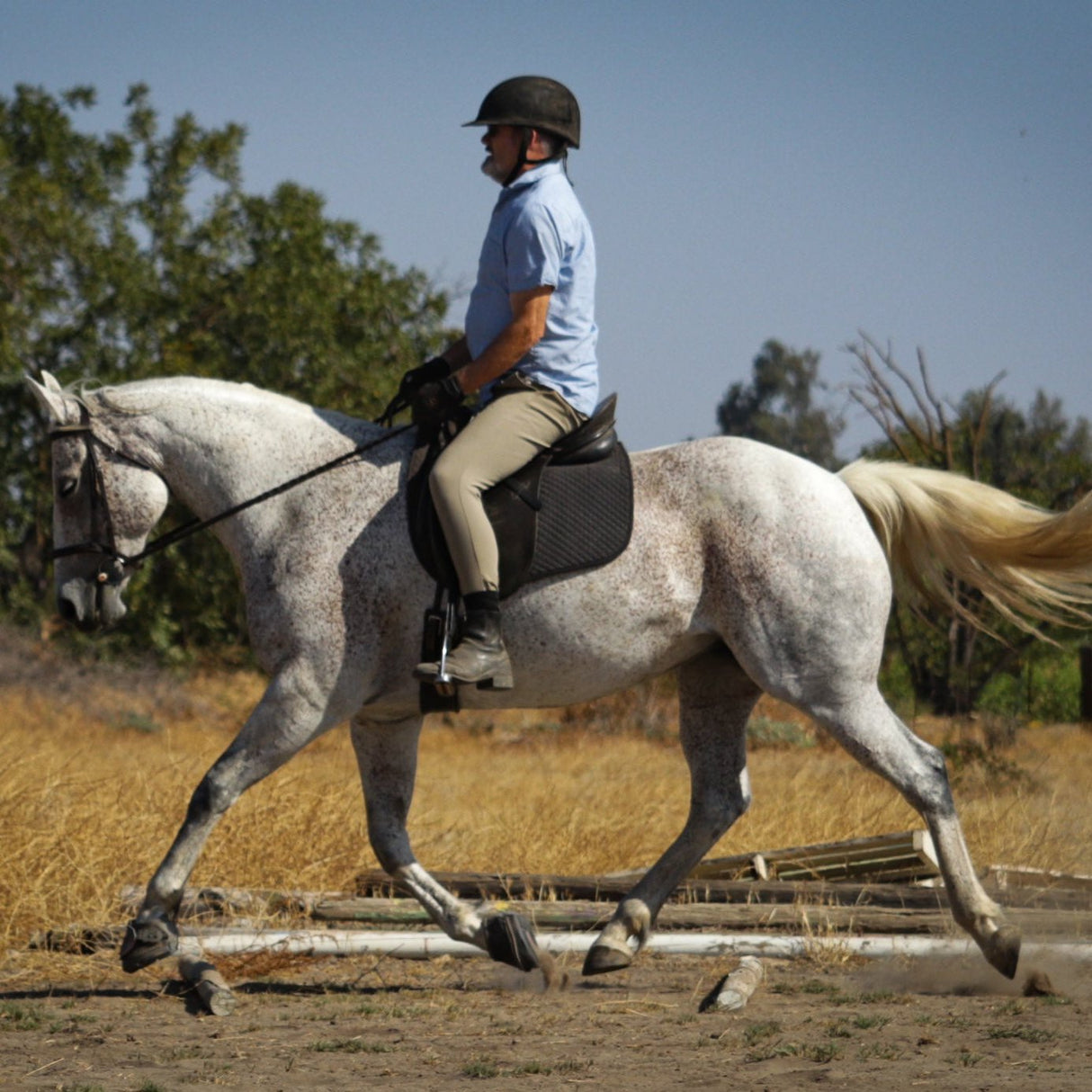 Cavallo Sport Boot Slim met Foc Hoof Pick & Brush