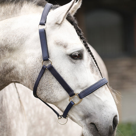 Equilibrium Stellar All-Weather Safety Headcollar #colour_navy