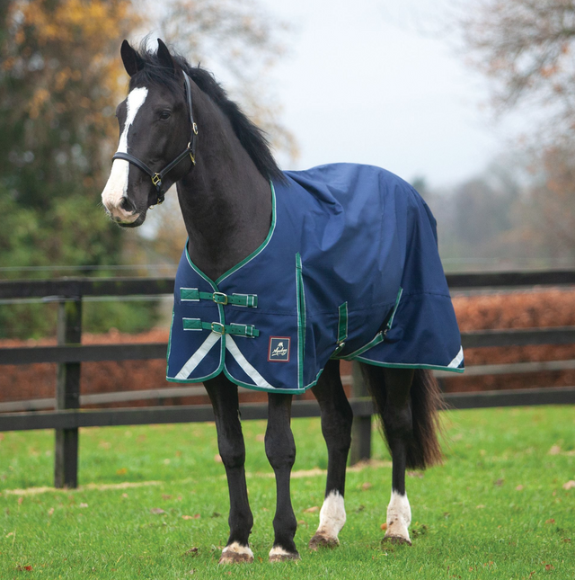 Mackey Keadeen Standard Neck 100G Turnout Rug #colour_navy-grey-hunter-green