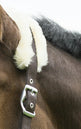 Equitheme Mouton Synthetique Headcollar With Synthetic Sheepskin