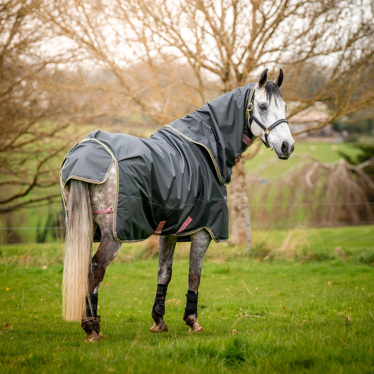 Horseware Ireland Amigo Hero 0g Turnout Rug #colour_shadow-rose-navy