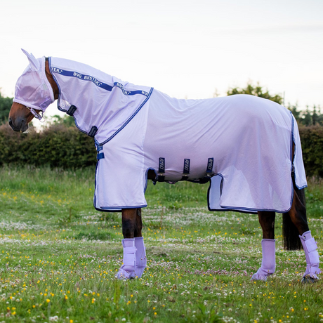 Horseware Ireland Amigo Bug Buster #colour_lavender-atlantic-blue-ivory