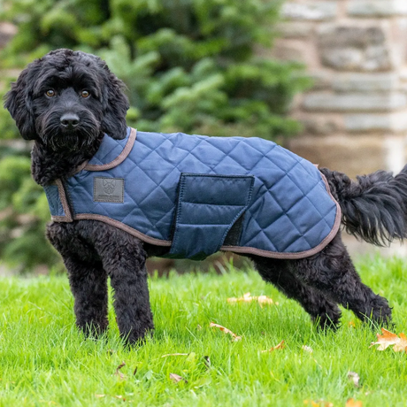 Shires Digby & Fox Heritage Dog Coat #colour_indigo