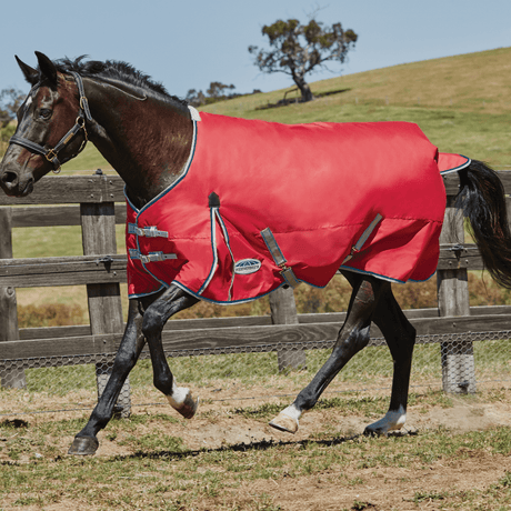 Weatherbeeta Comfitec Classic Standard Neck Lite Rug #colour_red-silver-navy