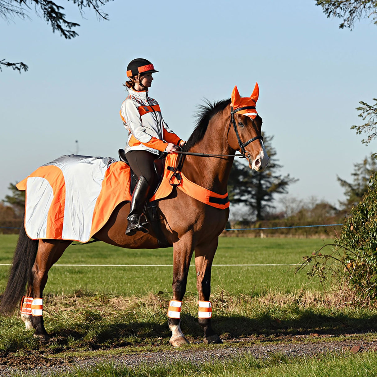 Equisafety Mercury Exercise Rug #colour_orange