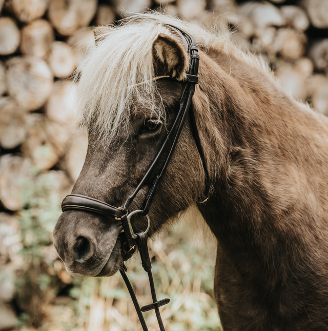 Finesse Spirit Drop Nose Bridle #colour_black-black-gold