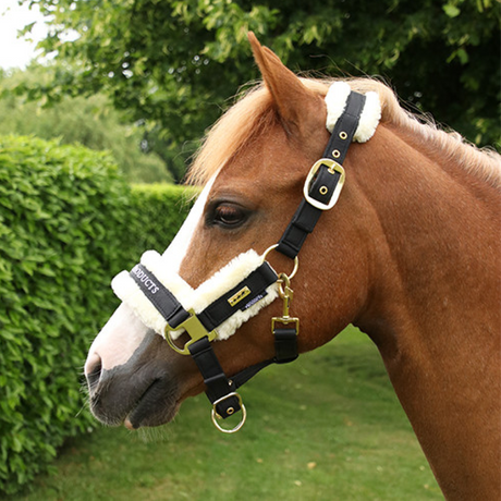 Supreme Products Royal Agound Head Collar