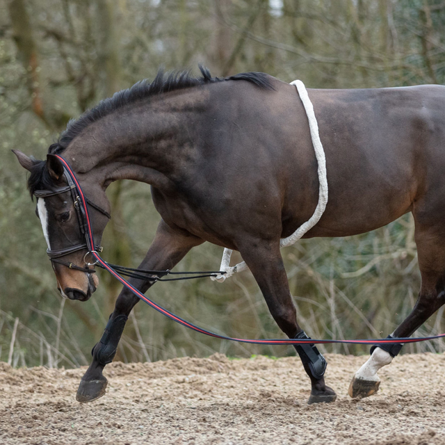 Mark Todd Lunging Aid #colour_white