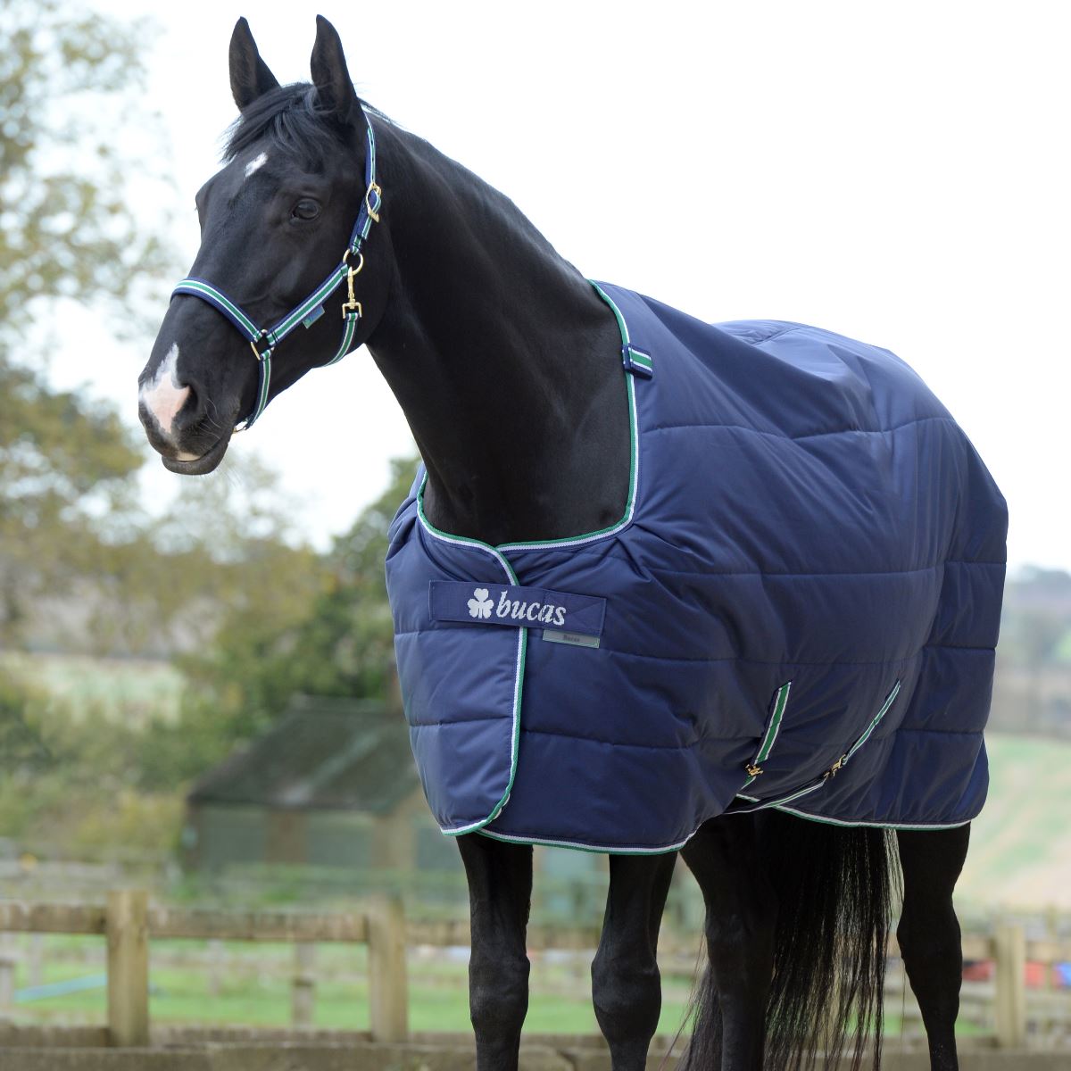 Bucas Quilt 300g SD Stable Rug #colour_navy